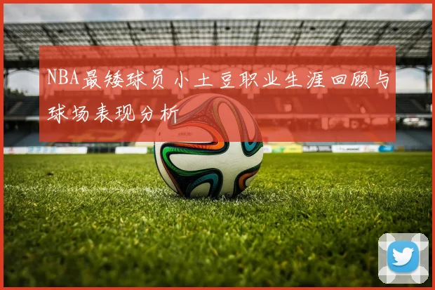 NBA最矮球员小土豆职业生涯回顾与球场表现分析