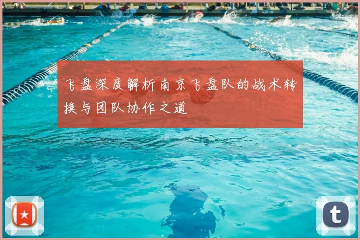 飞盘深度解析南京飞盘队的战术转换与团队协作之道