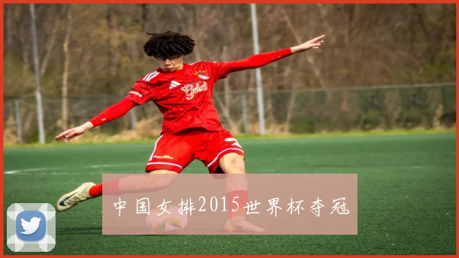 中国女排2015世界杯夺冠
