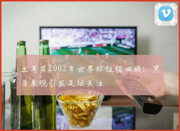 土耳其2002年世界杯征程回顾:黑马表现引发足坛关注