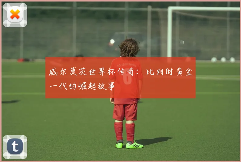 威尔莫茨世界杯传奇：比利时黄金一代的崛起故事