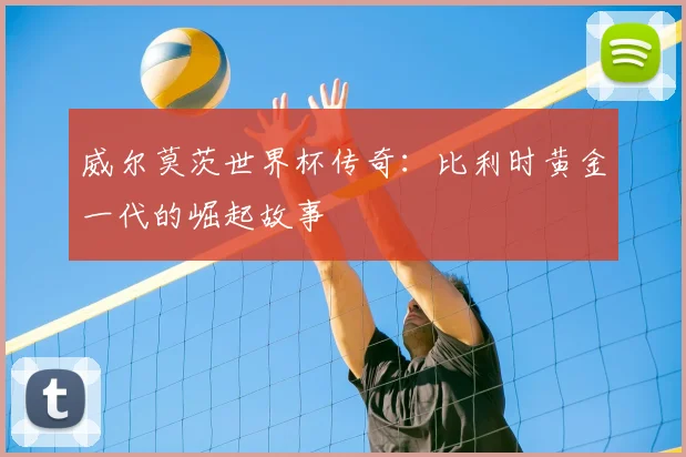 威尔莫茨世界杯传奇：比利时黄金一代的崛起故事