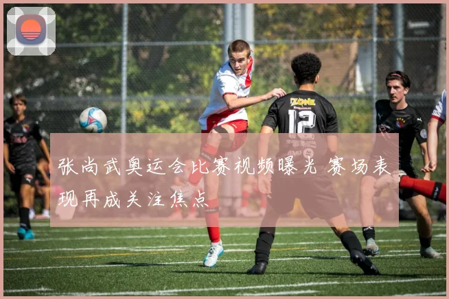 张尚武奥运会比赛视频曝光 赛场表现再成关注焦点