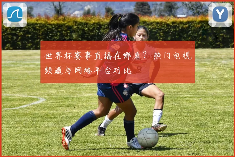 世界杯赛事直播在哪看？热门电视频道与网络平台对比