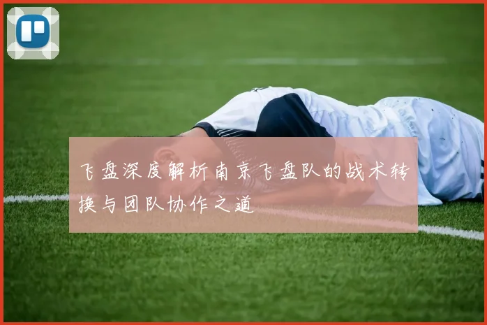 飞盘深度解析南京飞盘队的战术转换与团队协作之道