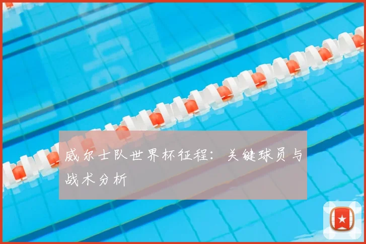 威尔士队世界杯征程：关键球员与战术分析