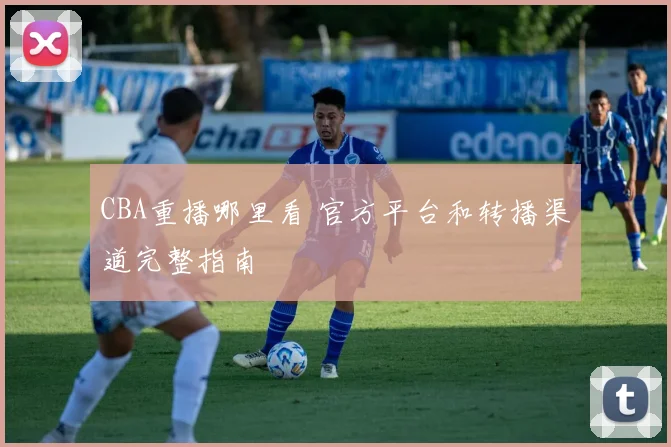 CBA重播哪里看 官方平台和转播渠道完整指南