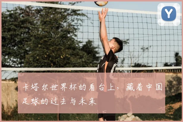 卡塔尔世界杯的看台上，藏着中国足球的过去与未来