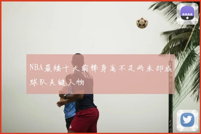 NBA最矮十大前锋身高不足两米却成球队关键人物